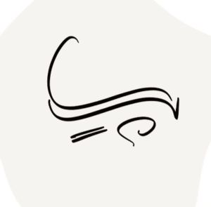 پارسیس