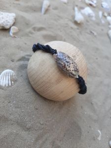 دست بند صدف طبیعی | JCHK-7139