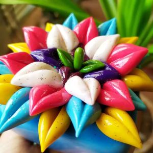 گالری خمیری بهاره