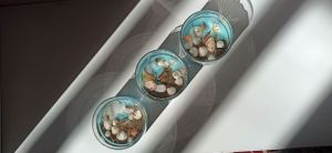 شمع ژله ای دریا شفاف | JCHK-7638