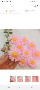 شمع گل بابونه  | JCHK-7523