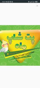 پت شاپ ماه