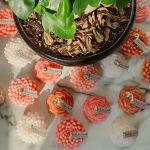 شمع گل داوودی | JCHK-6237