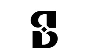 اکسسوری نقره