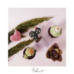 گلدان کاکتوس کچه | JCHK-3462