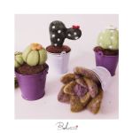 گلدان کاکتوس کچه | JCHK-3462