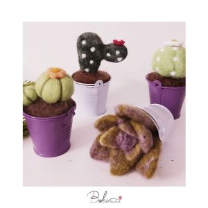 گلدان کاکتوس کچه | JCHK-3462