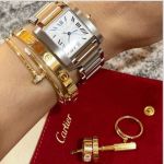 کارتیر میخی نگیندار  | JCHK-8273