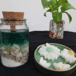 شمعهای دریایی  | JCHK-8361