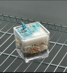 شمعهای دریایی  | JCHK-8361