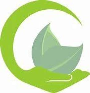 صنایع غذایی نوروزفود