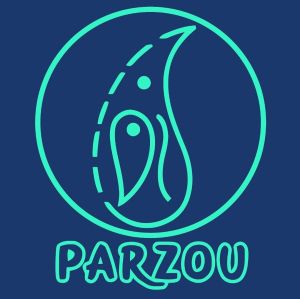 محصولات تزئینی پرزو