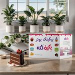 بیکینگ پودر بگین تکه - 5 کیلوگرم | JCHK-8748