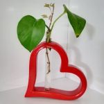 گلجا قلبی 16سانت همراه با شیشه | JCHK-11178