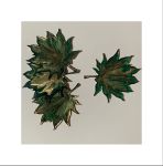 زیرلیوانی طرح برگ رزین | JCHK-2879