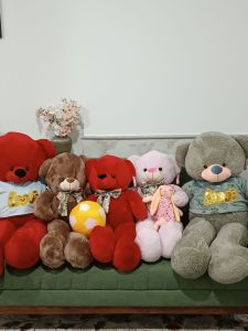 عروسک پولیشی آنا