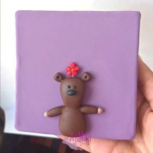 قاب تدی  | JCHK-9973