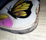 نقاشی پروانه روی تنه چوب | JCHK-9696