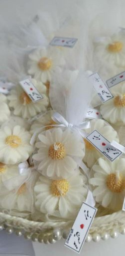 گیفت زیبای بابونه | JCHK-16186