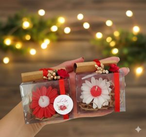 گیفت زیبای یلدایی | JCHK-16244