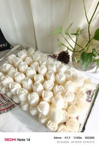 غنچه گل لاله | JCHK-16412