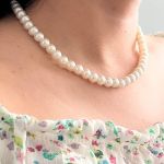 لاپرا اکسسوری