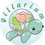 فروشگاه تخصصی شیشه های هندسی مخصوص تراریوم با ارسال رایگان