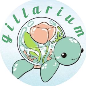 فروشگاه تخصصی شیشه های هندسی مخصوص تراریوم با ارسال رایگان