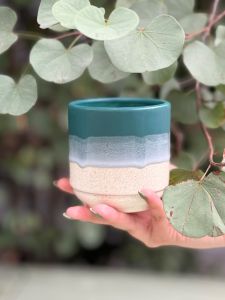 استودیو تسو