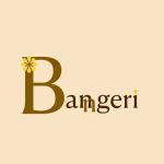 بنگری اکسسوری 