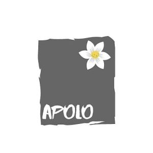 آپولو