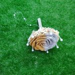 دسته گل رز حنا اروپایی | JCHK-11606