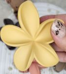 کلیپس شمعی پلومریا🌺 | JCHK-11597