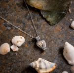 صدف مروارید عشق | JCHK-11615