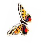 زیر قابلمه ای کاشی کاری طرح پروانه کد MA-15-13 | JCHK-11901