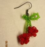 گوشواره‌ گیلاس | JCHK-12017