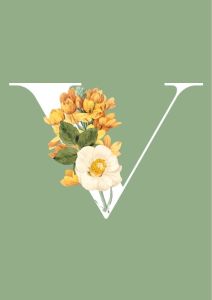 فروشگاه ارگانیک وانیا