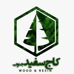 کاج سفید جنوب