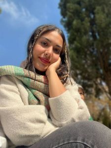 دستسازه های هنری