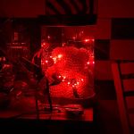 خرس تدی مرواریدی | JCHK-12898