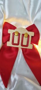 گوشواره رزینی | JCHK-12726