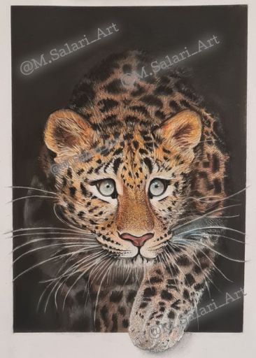 ورود پلنگ | JCHK-14795