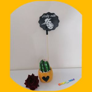 کاکتوس سنگی | JCHK-1806