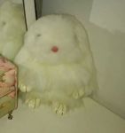 خرگوش سفید | JCHK-1400