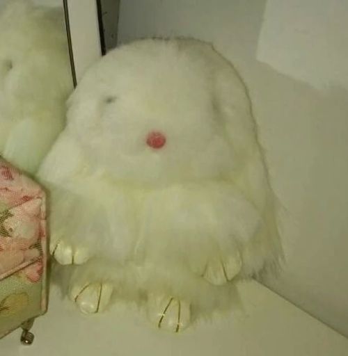 عروسک خرگوش سفید | JCHK-1528
