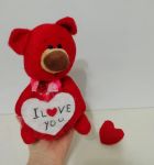 عروسک تدی ولنتاین | JCHK-4706