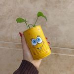 گلدان یا جامدادی طرح دلخواه  | JCHK-13324