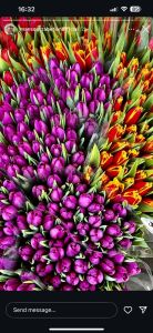 فروشگاه خورشید 