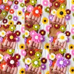 شمع گل بابونه | JCHK-13501