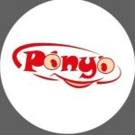 قالب سیلیکونی و خمیر هوا خشک (پونیوشاپ)